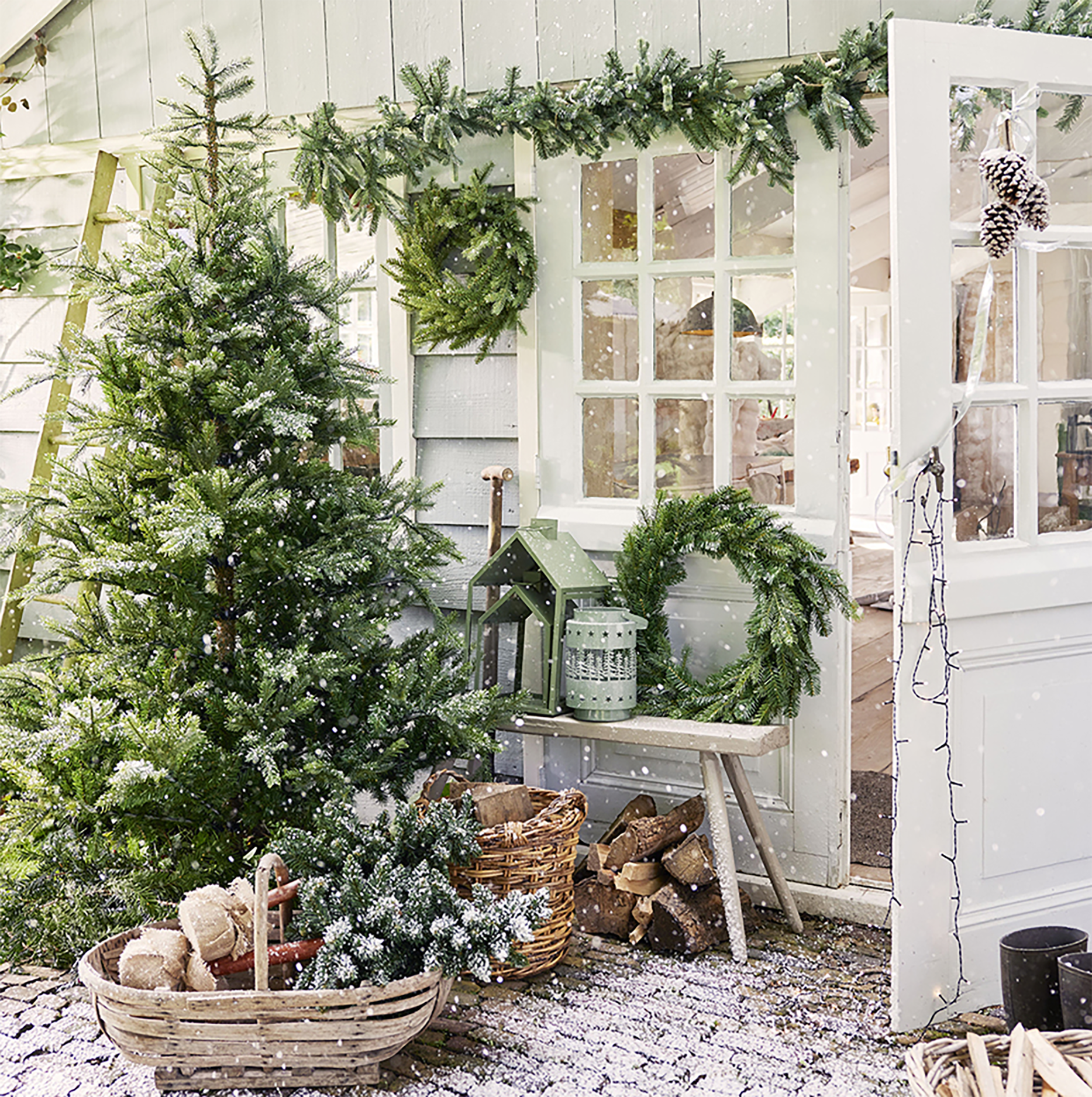 Christmas Trees & Greenery