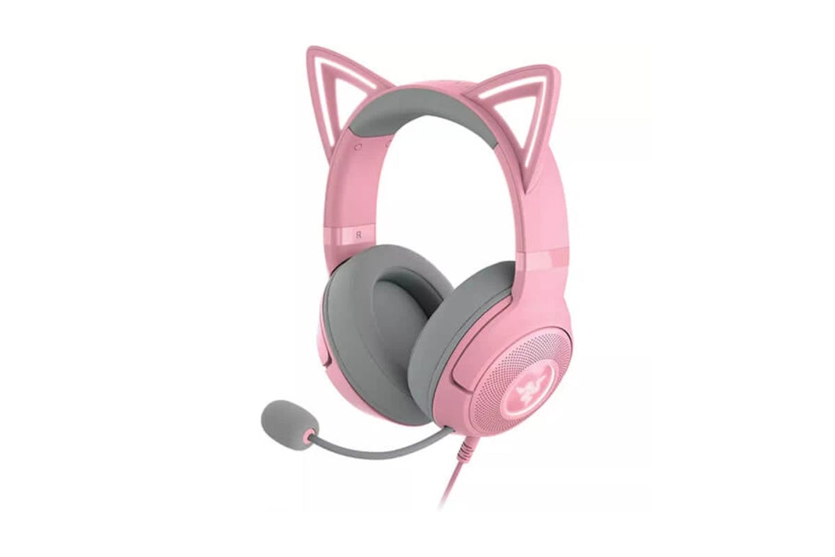 Kitty kraken discount