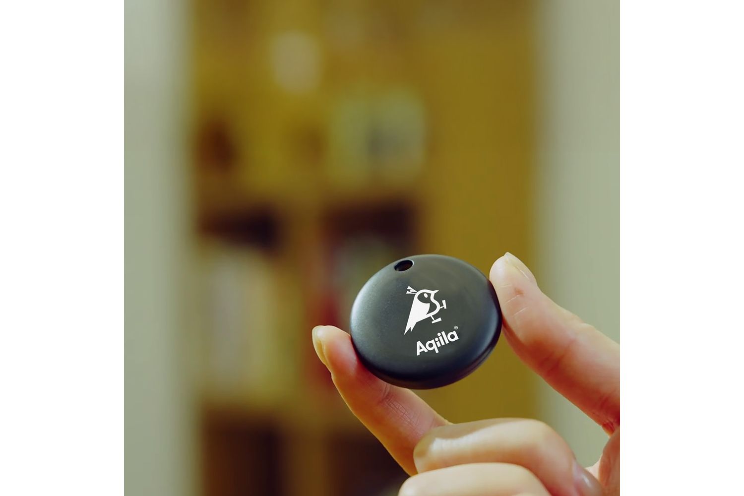 Aqiila - 406074 - 1