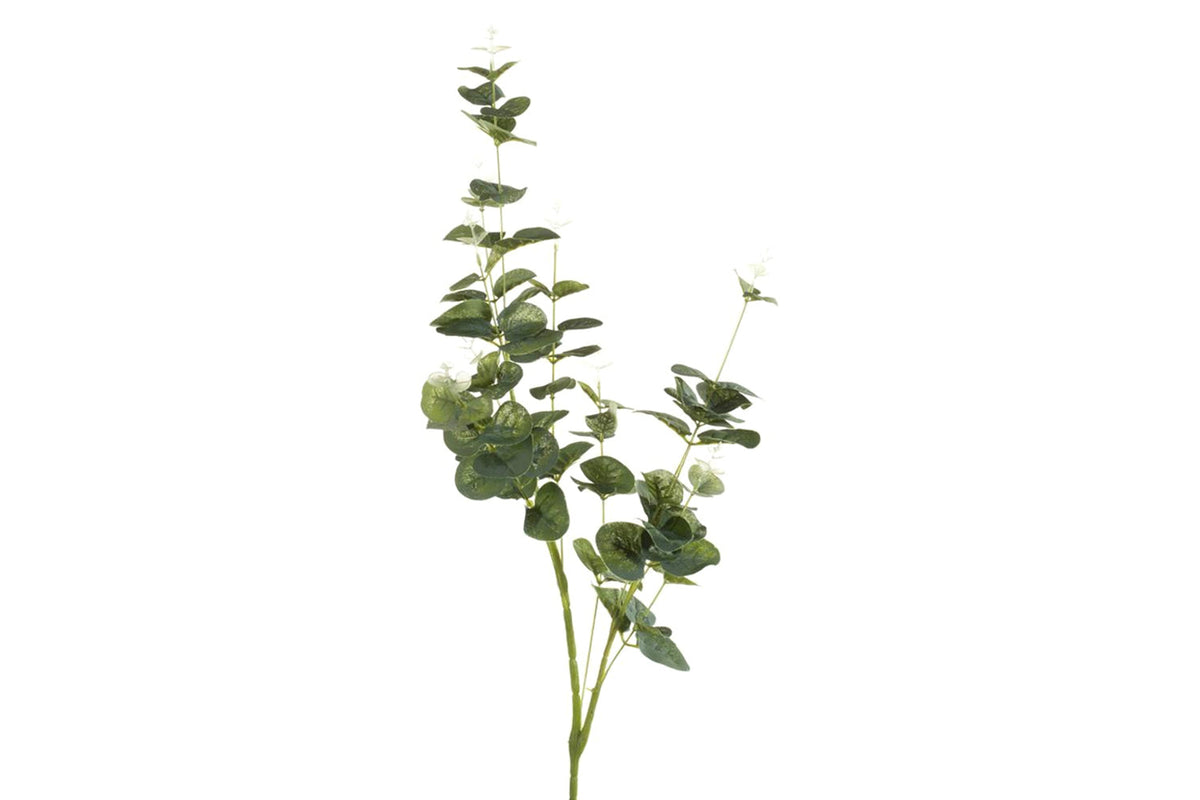 Eucalyptus Spray | Green/Grey
