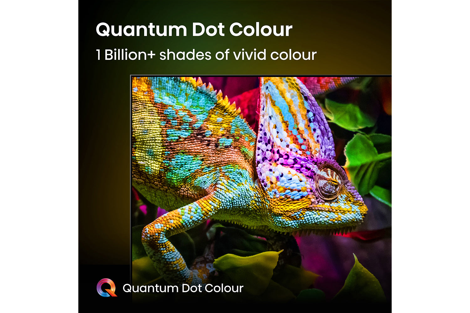 Colorful chameleon on a dark background with 'Quantum Dot Colour' branding.