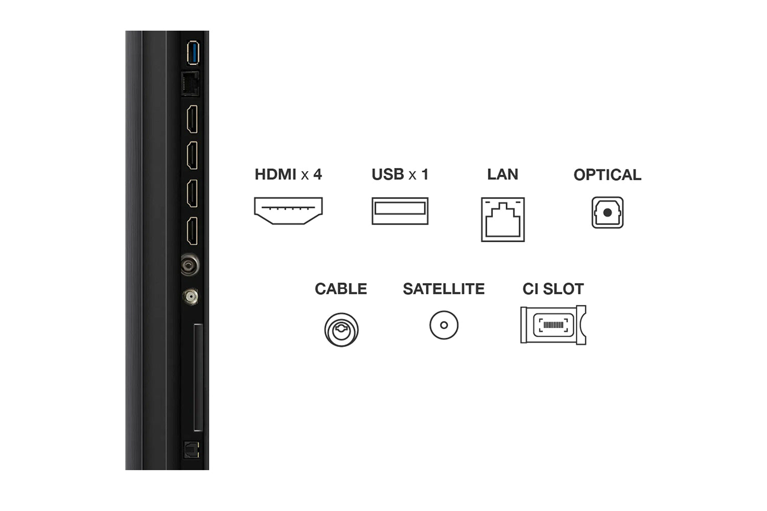 TCL 55