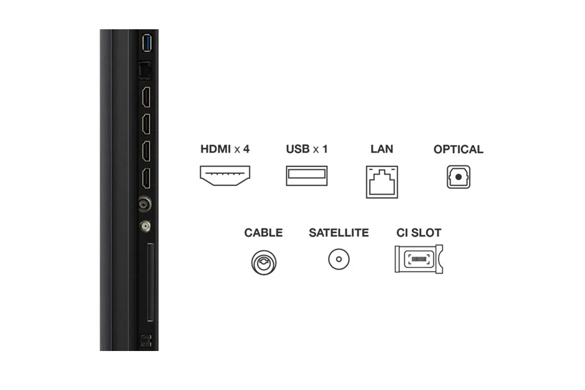 TCL 55