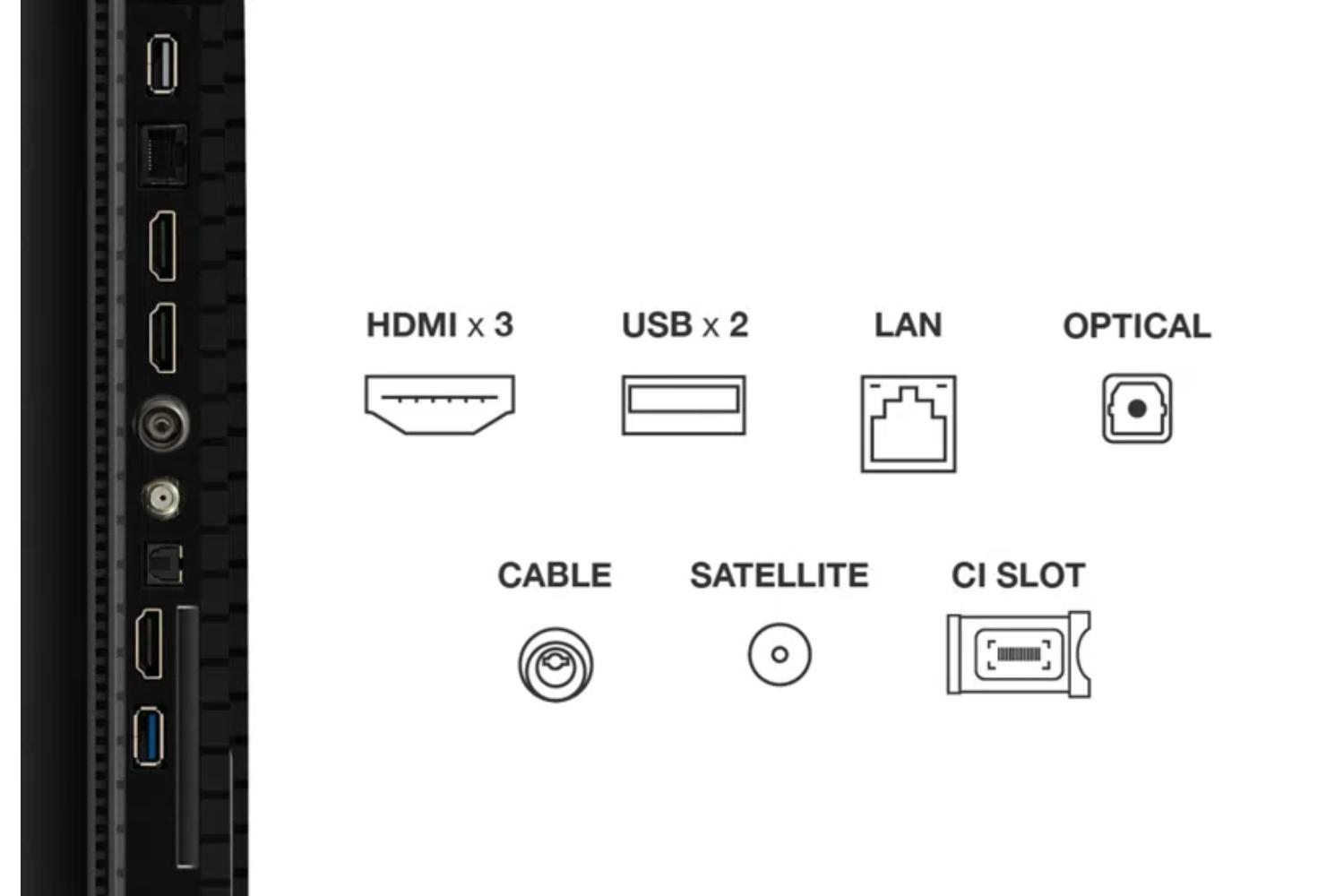 TCL 65