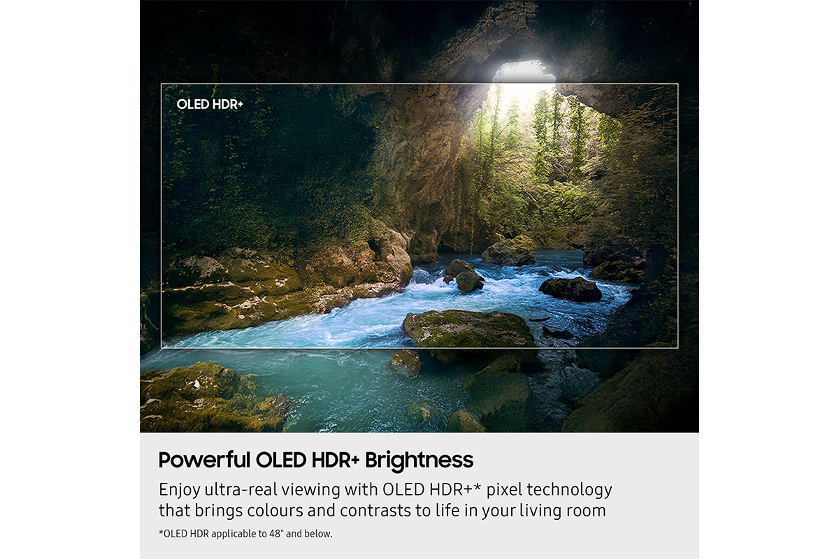 Samsung OLED 55 Inch S90F AI Smart TV