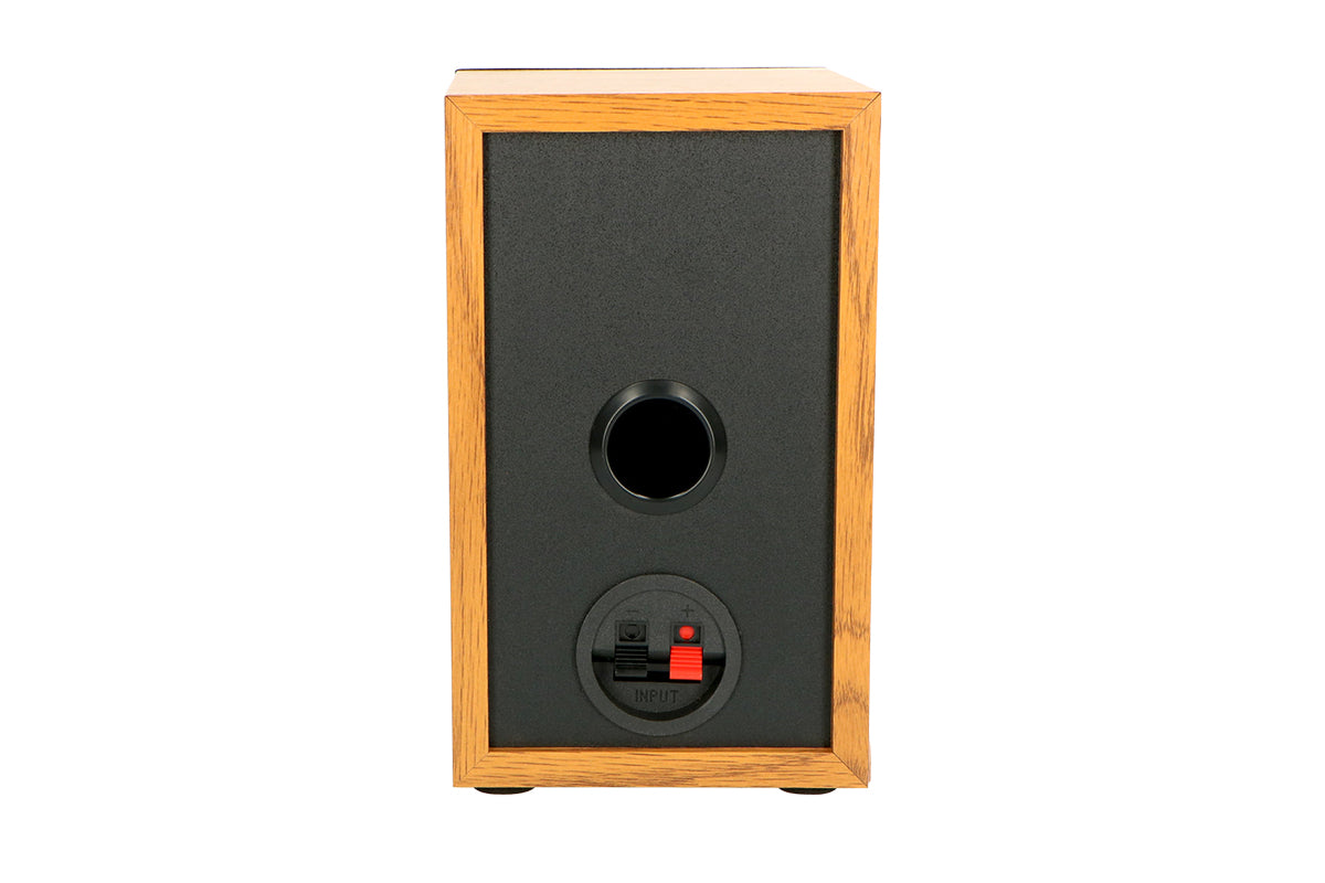 Lenco LS-300 Turntable And Hi-Fi Speakers | Vinyl | Wood-7