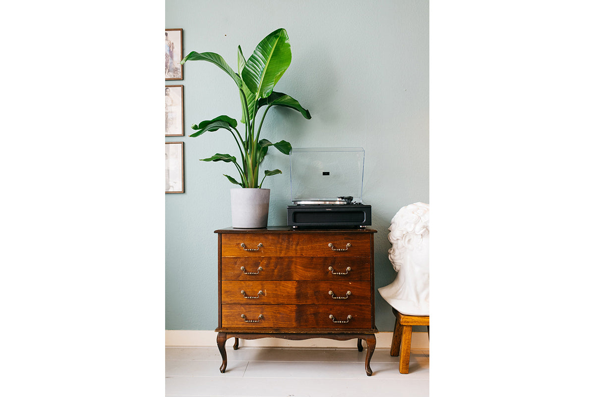 Lenco LS-430BK Turntable | Built-in Speakers | Black-2