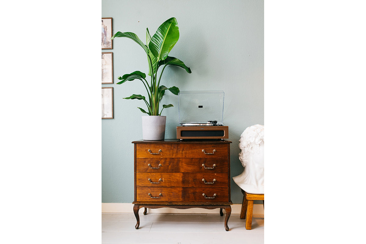 Lenco LS-430BN Turntable | Built-in Speakers | Brown-2