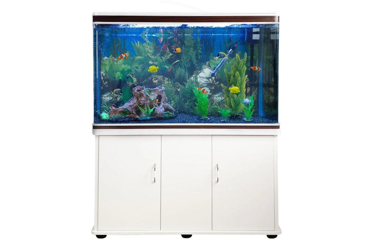 Monstershop - 20294 - 1