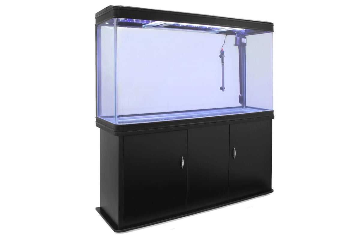 Monstershop - 10638 - 1