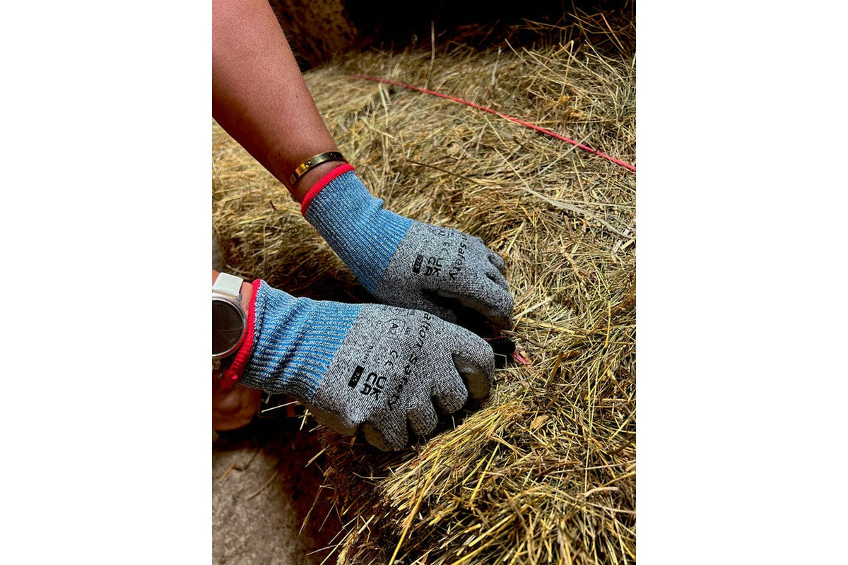 Dalton Safety - DS301XXL - 3