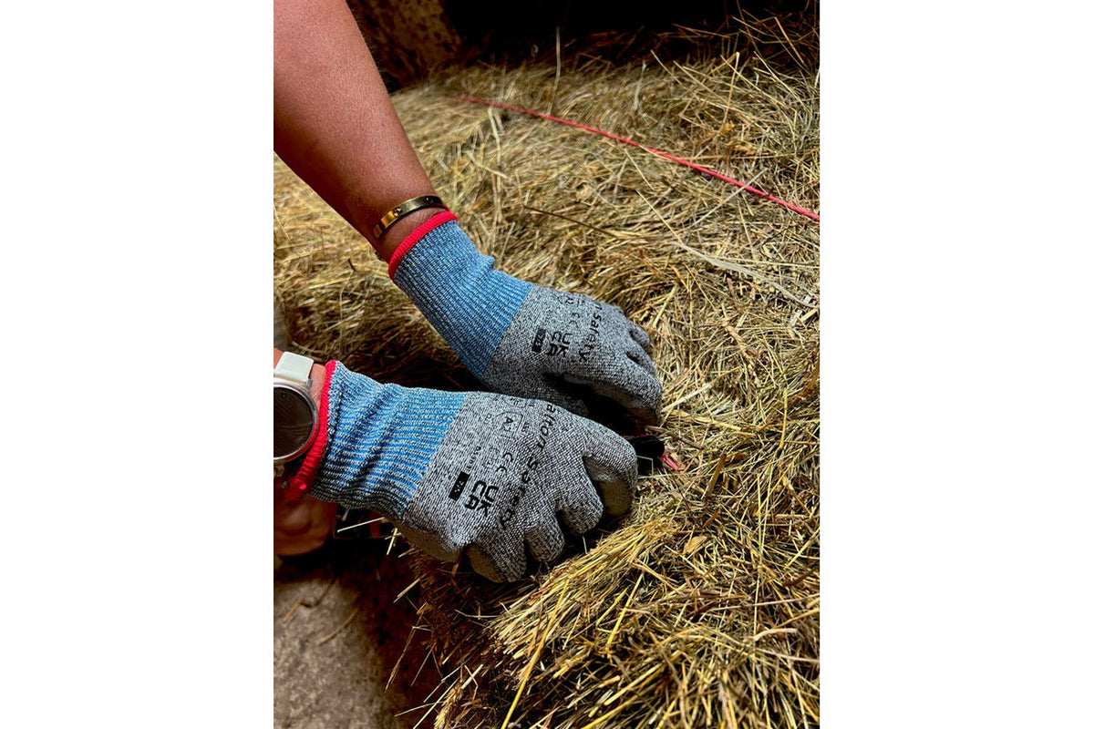 Dalton Safety - DS301L - 3