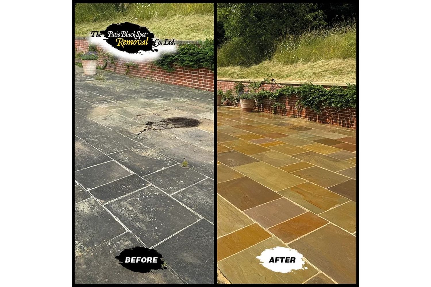 Patio Black Spot - NAT04 - 3