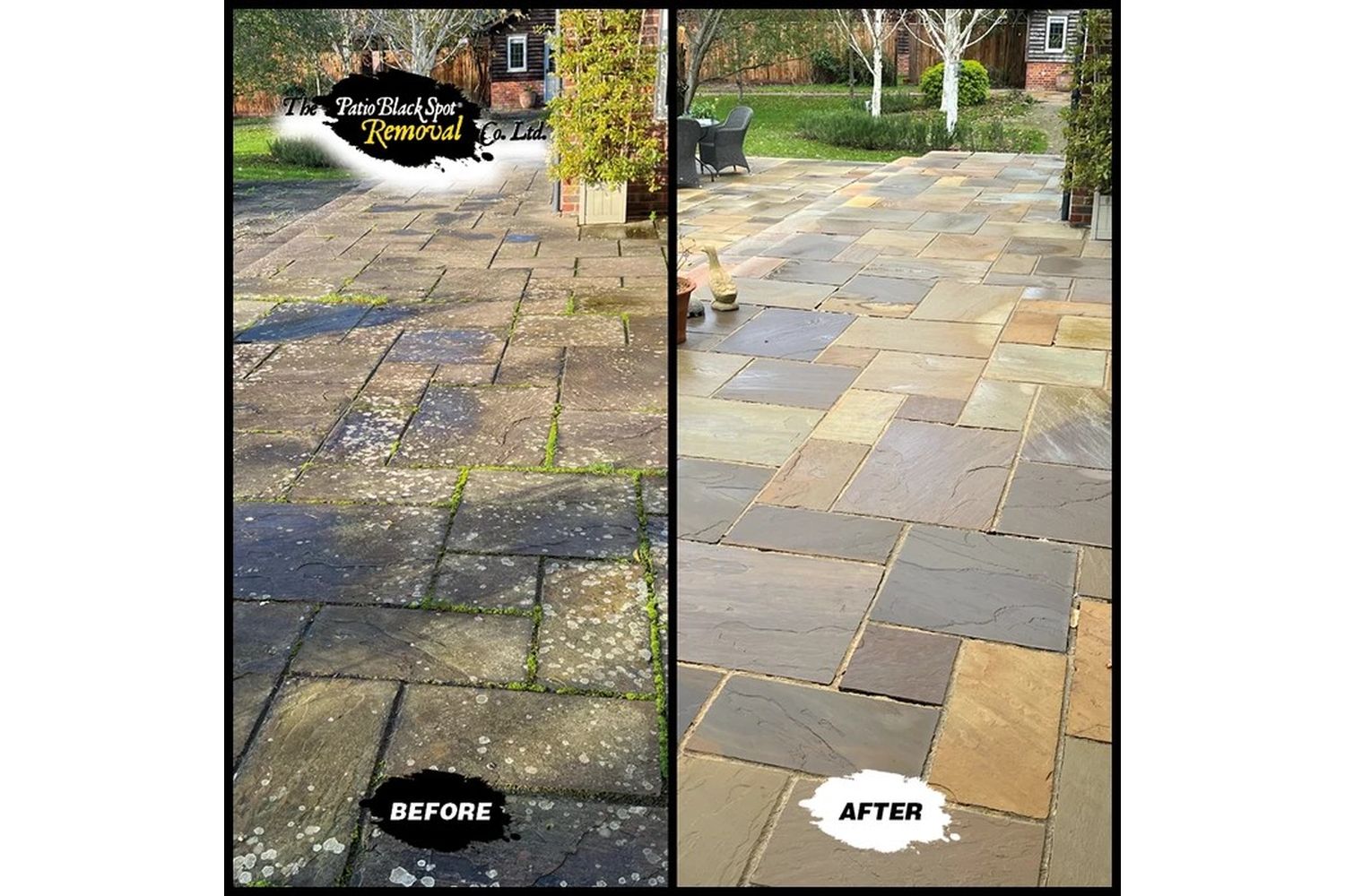 Patio Black Spot - NAT04 - 5