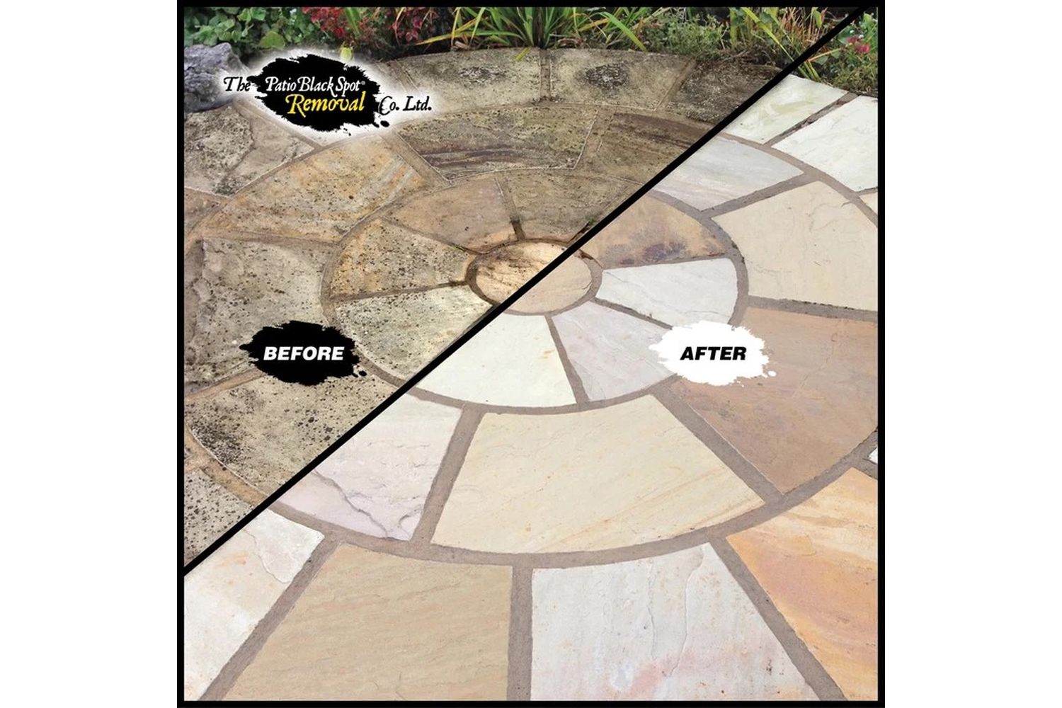Patio Black Spot - NAT04 - 6