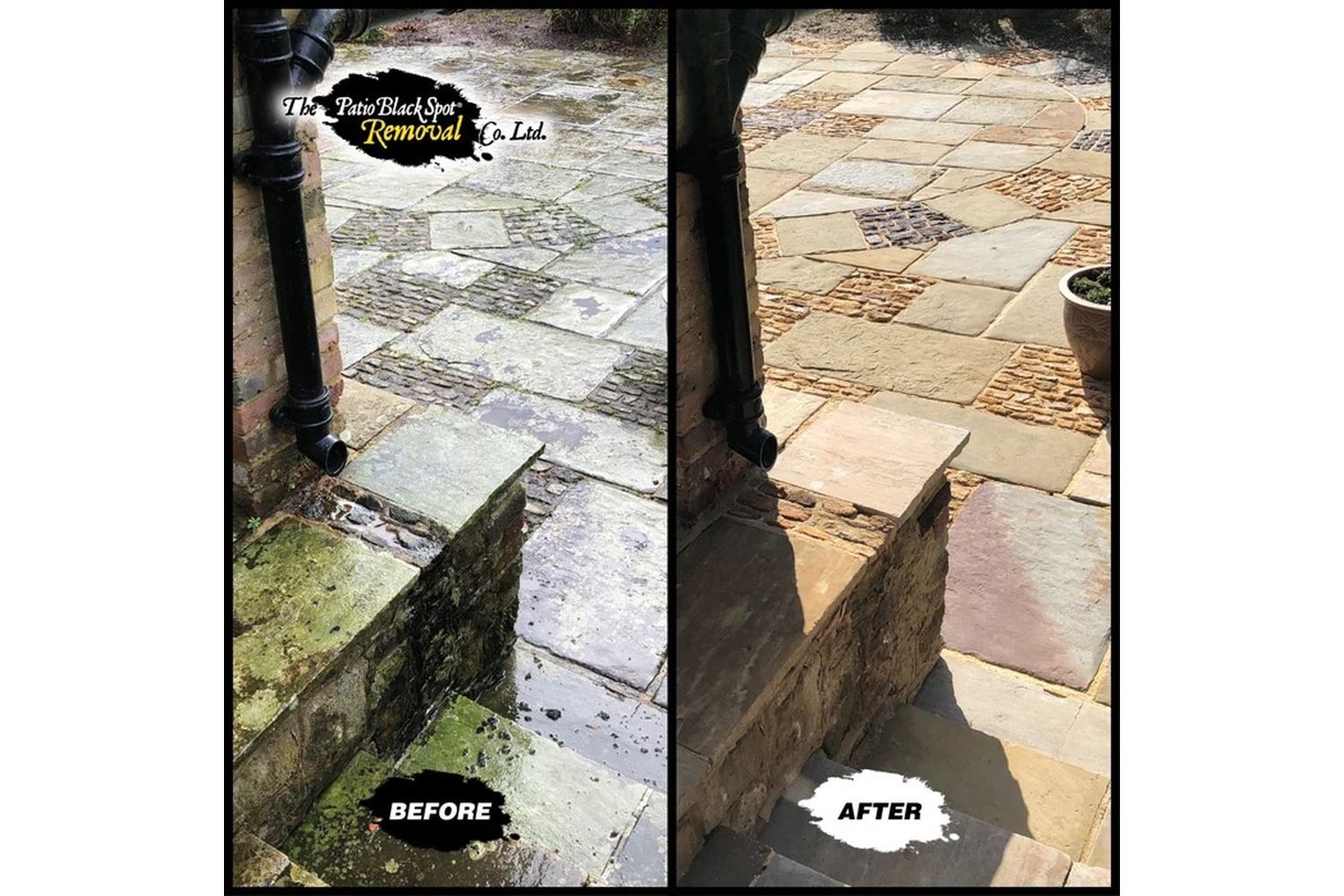 Patio Black Spot - NAT04 - 7