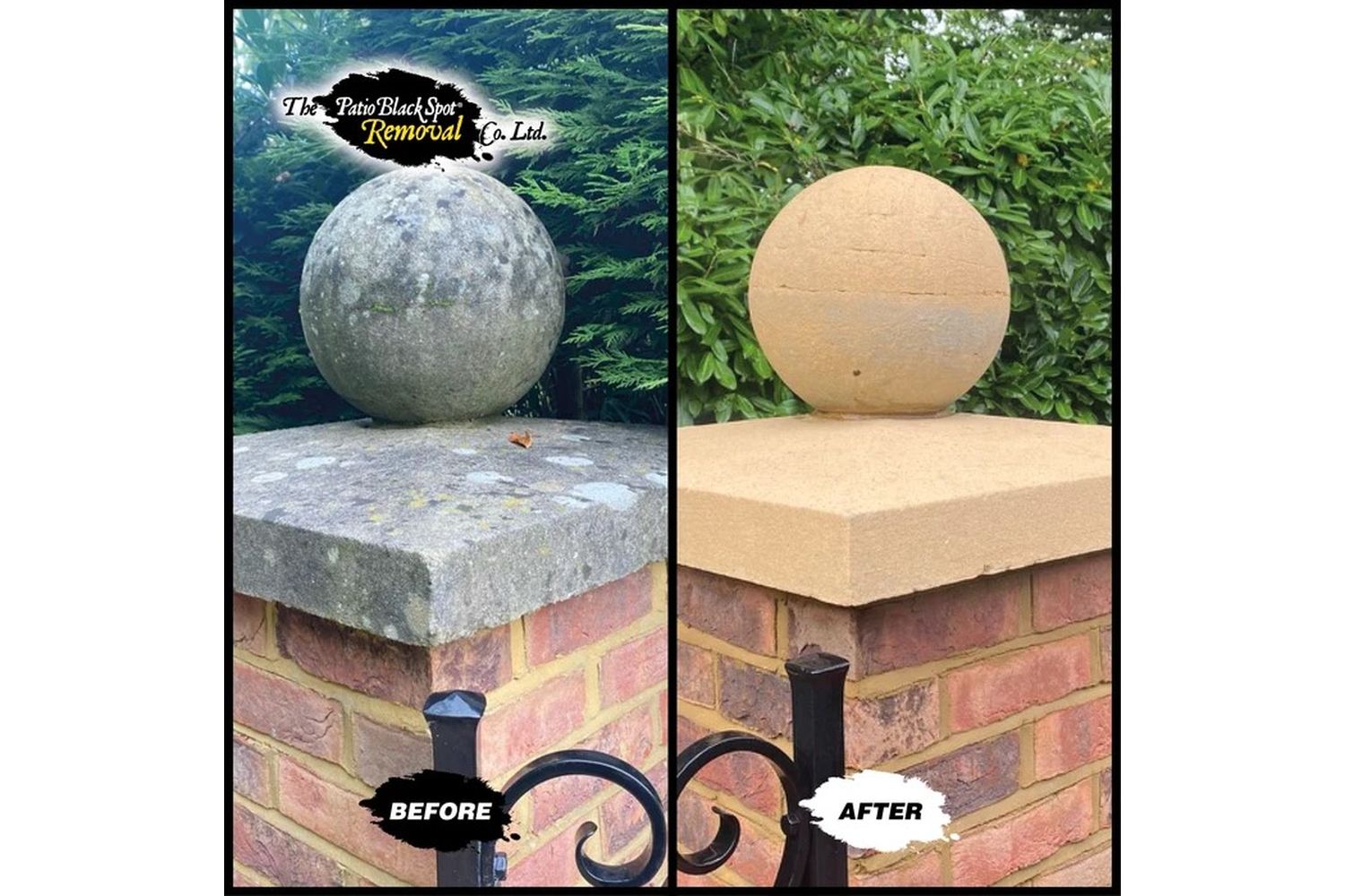 Patio Black Spot - NAT04 - 8