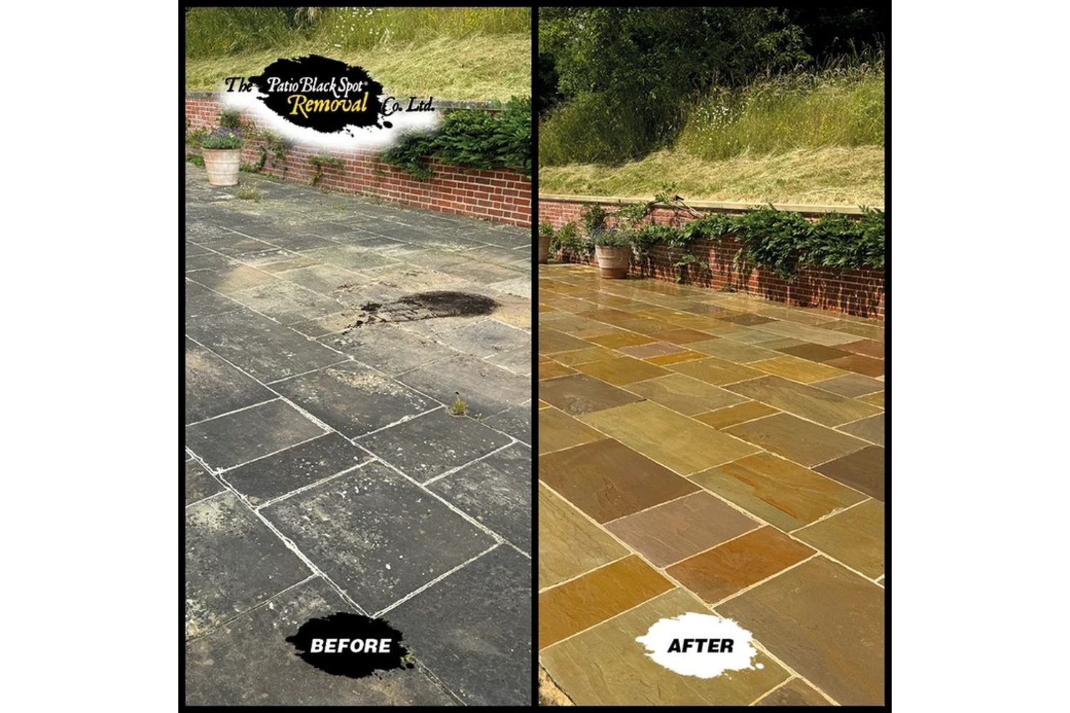 Patio Black Spot - NAT02 - 4