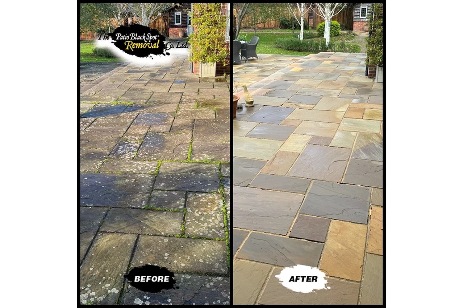Patio Black Spot - NAT02 - 6