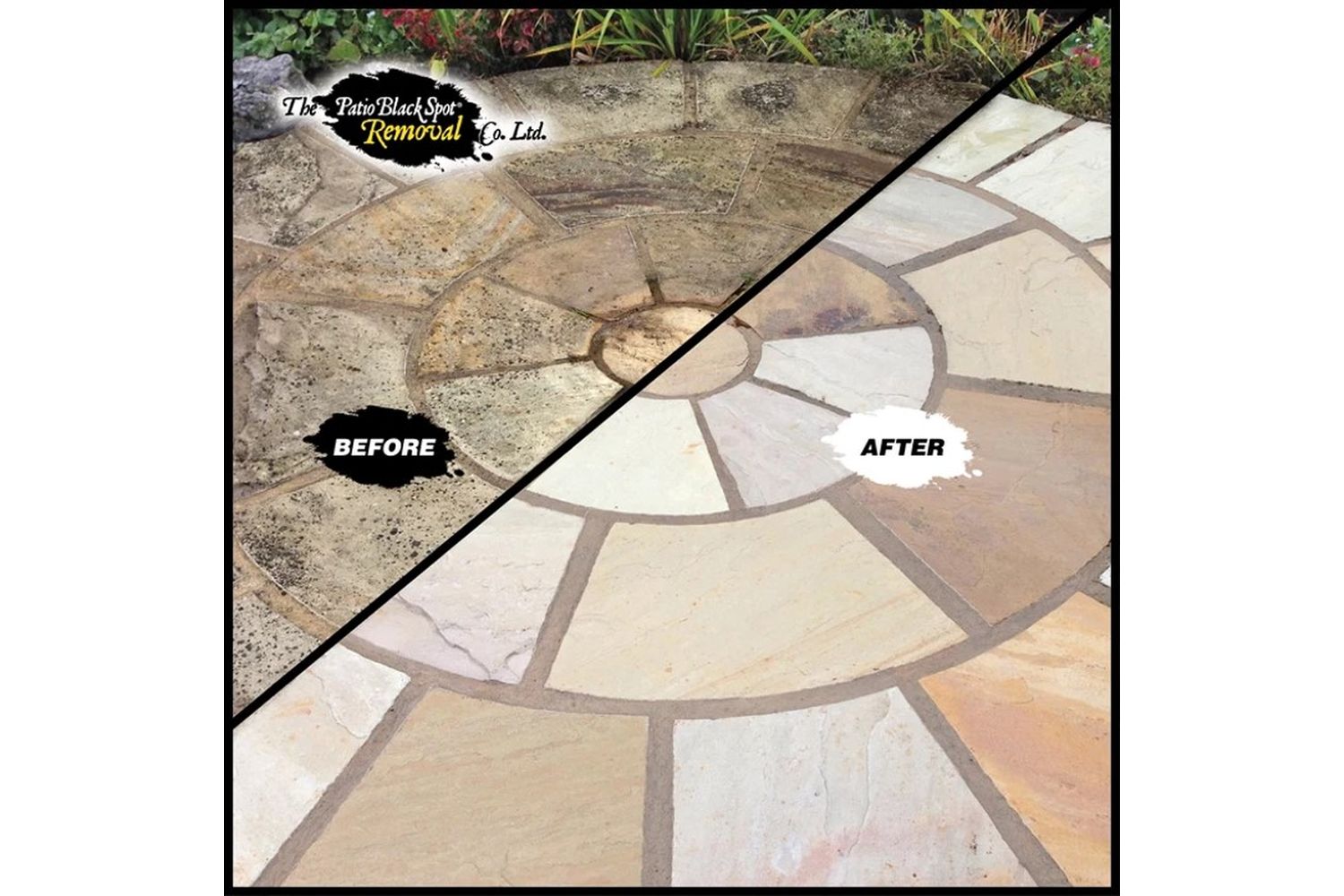 Patio Black Spot - NAT02 - 7