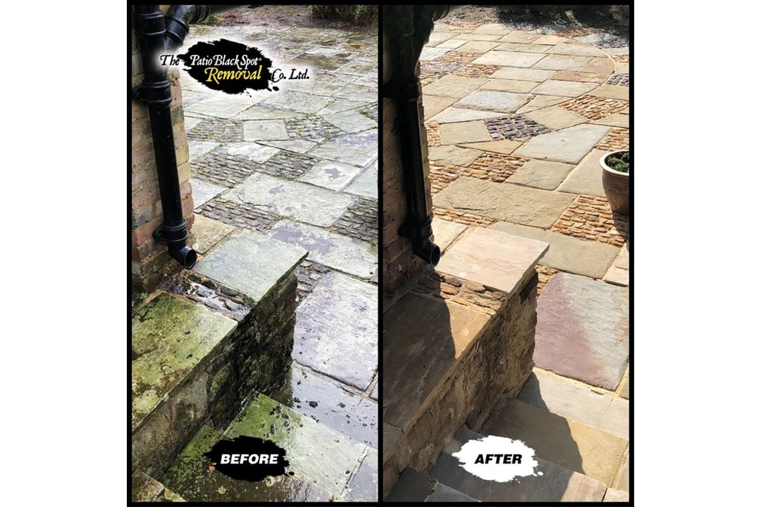 Patio Black Spot - NAT02 - 8