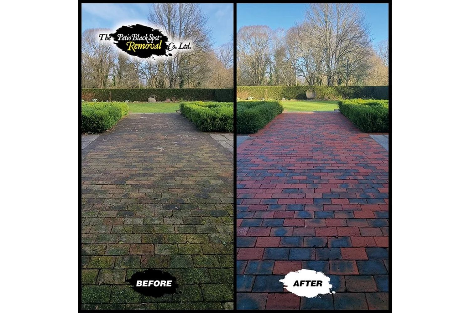 Patio Black Spot - BLO02 - 3