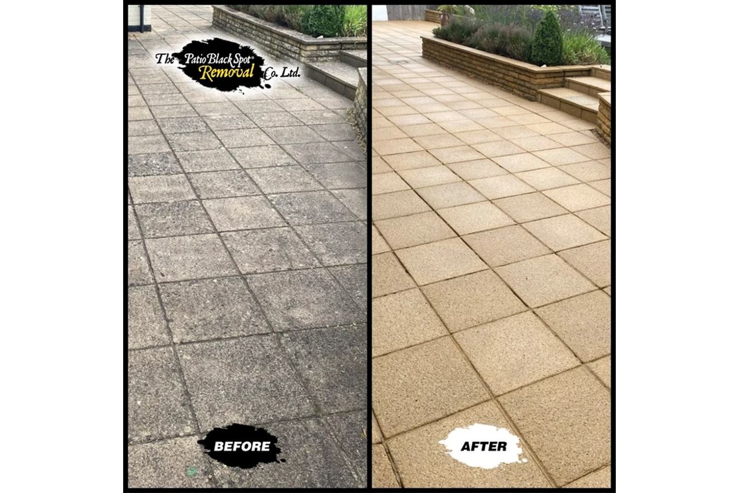 Patio Black Spot - ART02 - 3