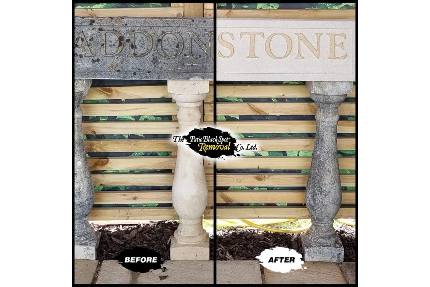 Patio Black Spot - ART02 - 6
