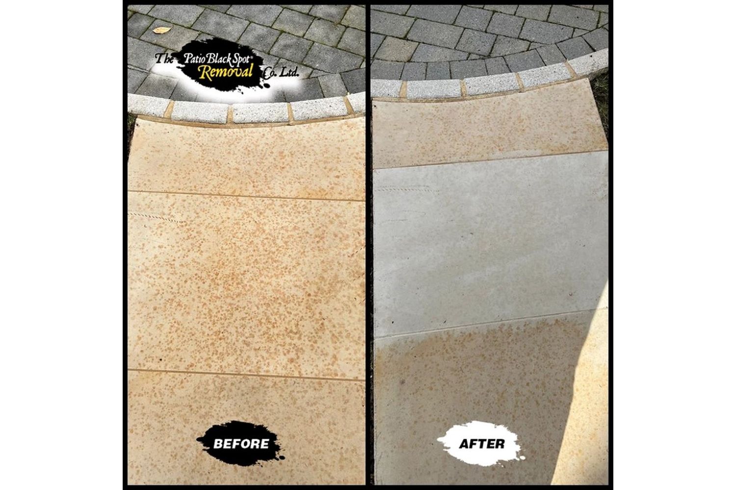 Patio Black Spot - GOF04 - 2