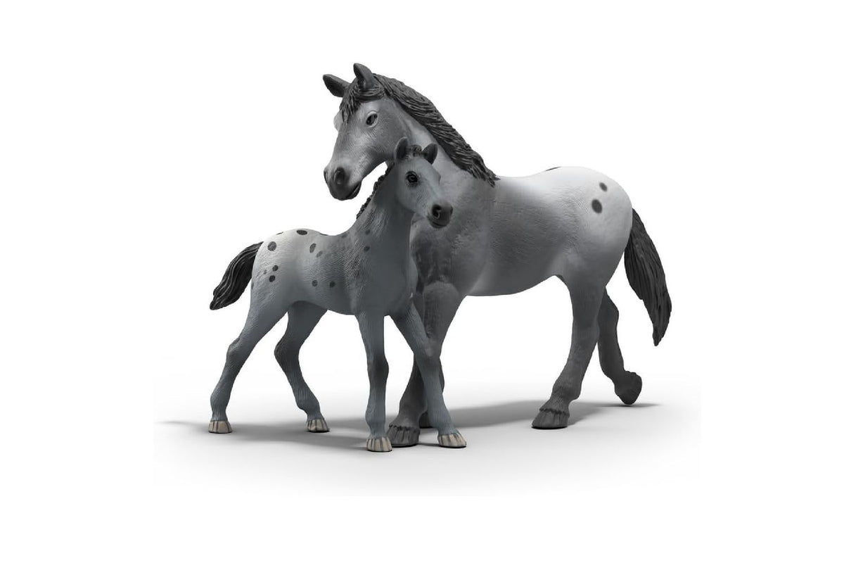 Schleich Horse Club Lisas Tournament Training | Playset-3