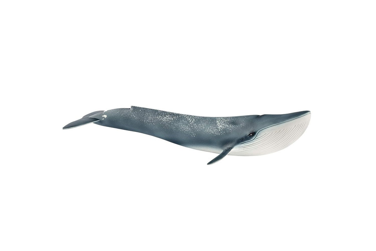 Schleich Wildlife Blue Whale 14806 | Toy Figure