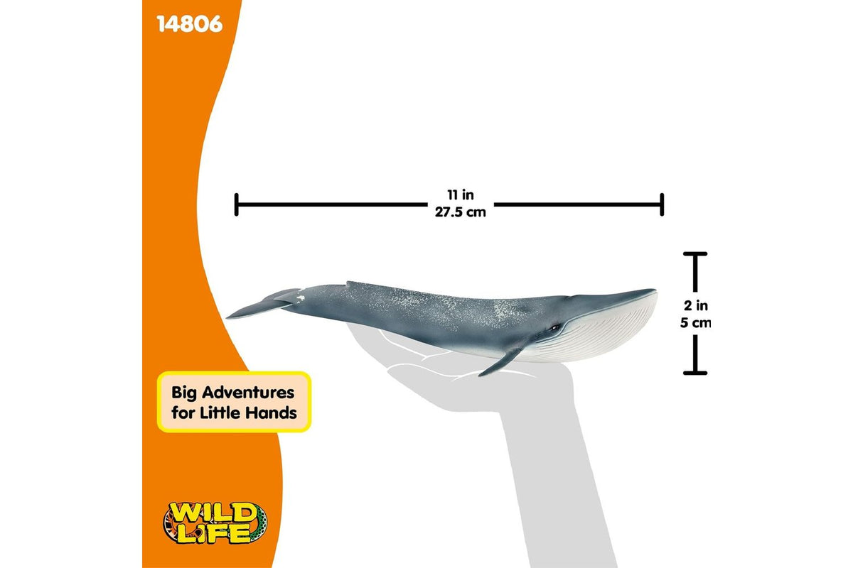 Schleich Wildlife Blue Whale 14806 | Toy Figure-3