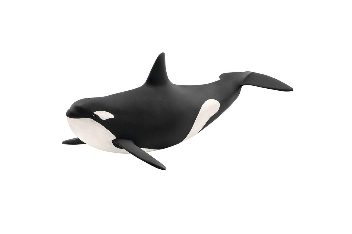 Schleich Wildlife Killer Whale | Toy Figure