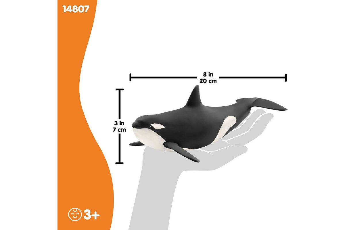 Schleich Wildlife Killer Whale | Toy Figure-3