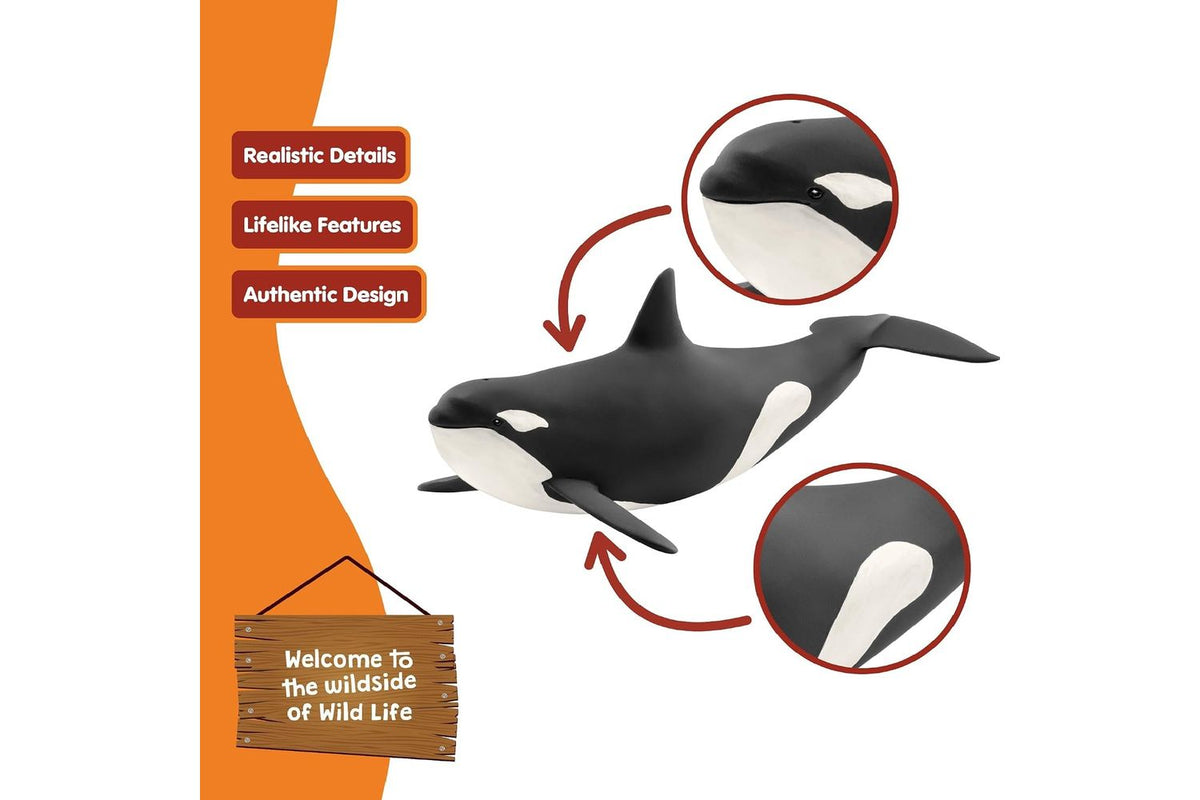 Schleich Wildlife Killer Whale | Toy Figure-4