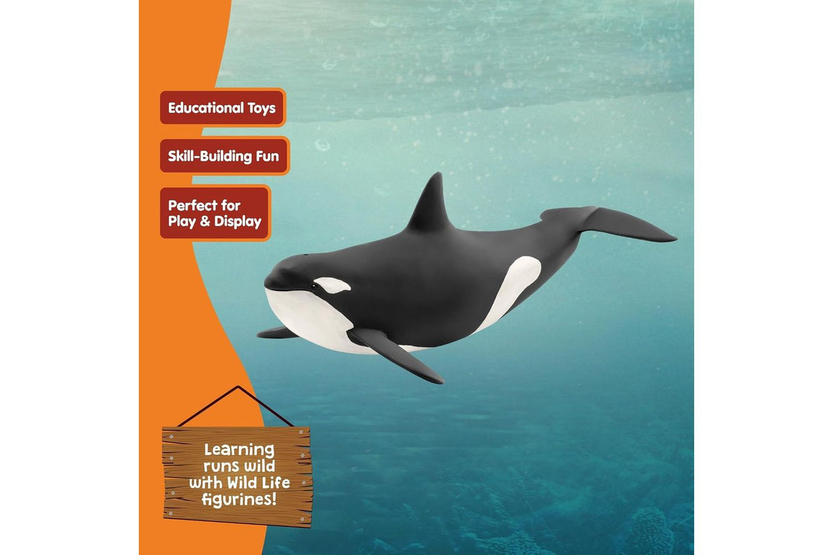 Schleich Wildlife Killer Whale | Toy Figure-5