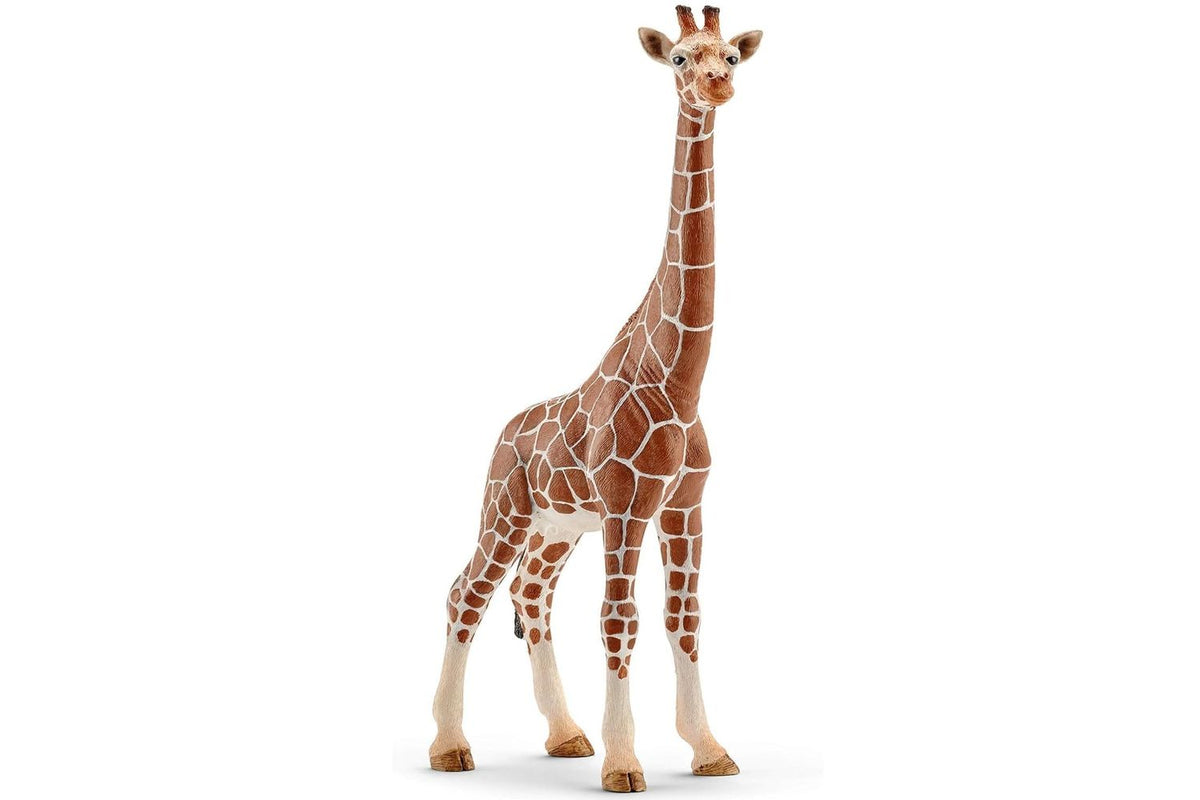 Schleich Wildlife Female Giraffe 14750 | Toy Figure