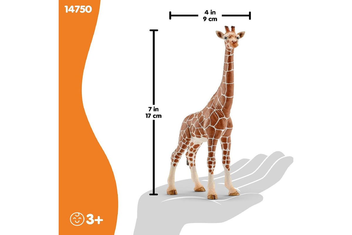 Schleich Wildlife Female Giraffe 14750 | Toy Figure-3
