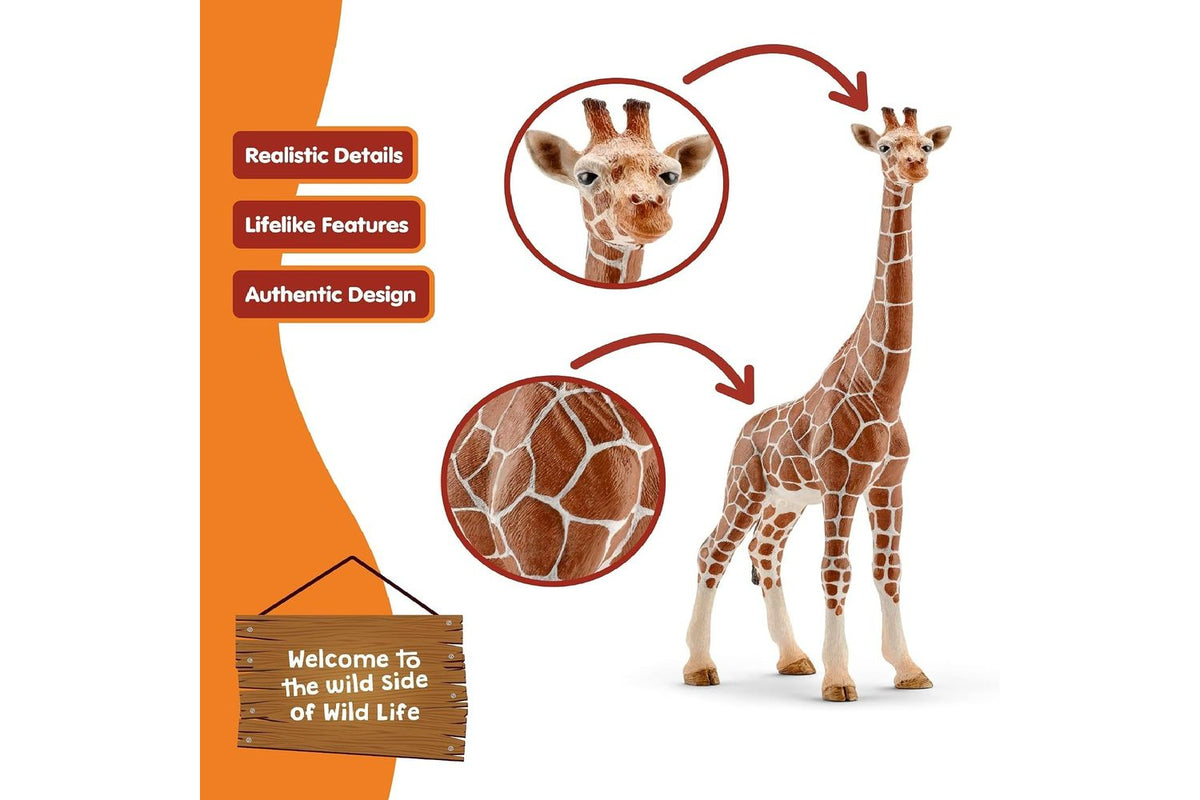 Schleich Wildlife Female Giraffe 14750 | Toy Figure-4
