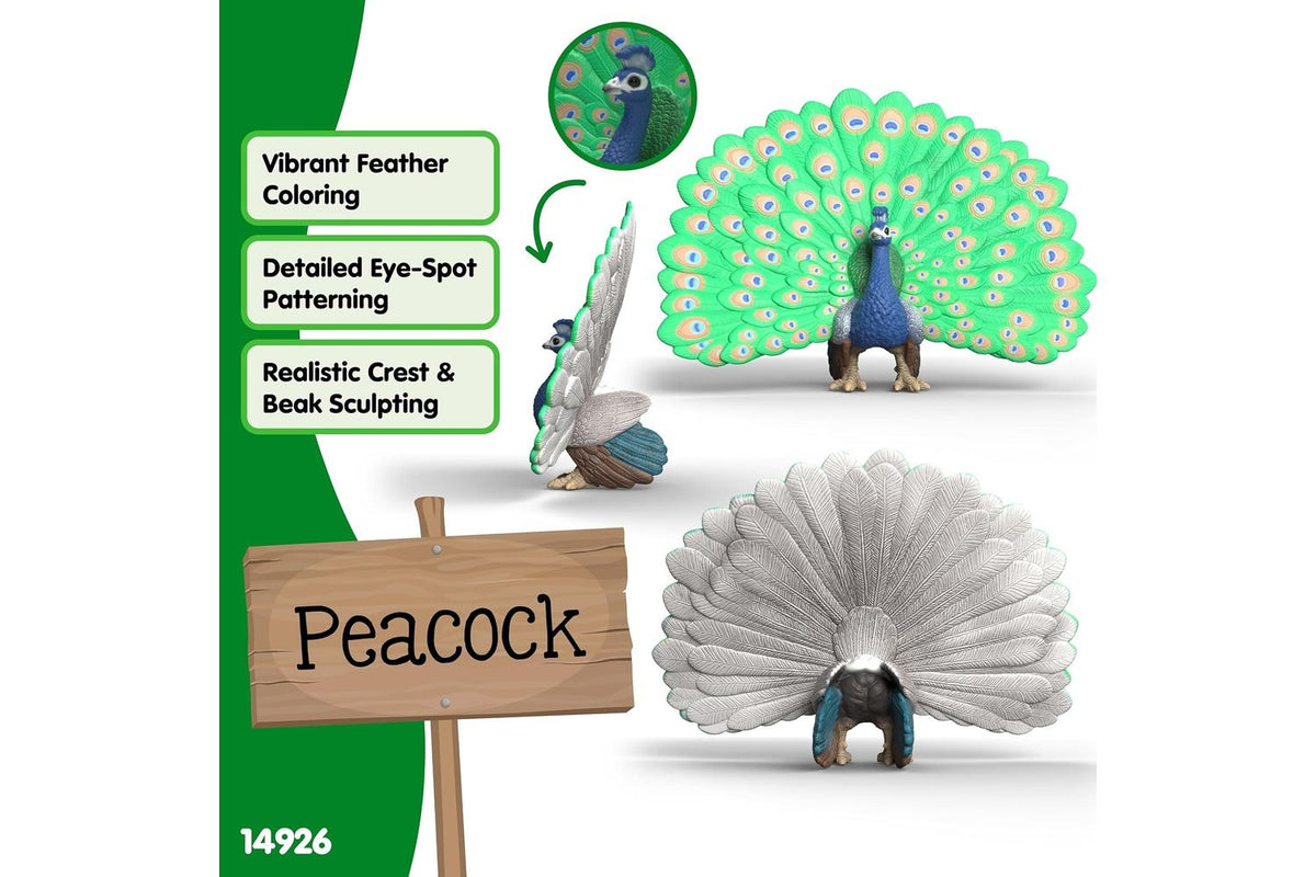 Schleich Farm World Peacock 14926 | Toy Figure-4