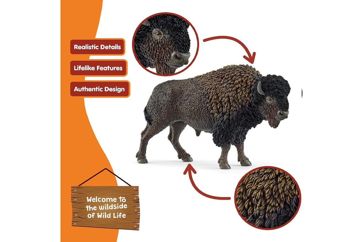 Schleich Wildlife Bison | Toy Figure-5