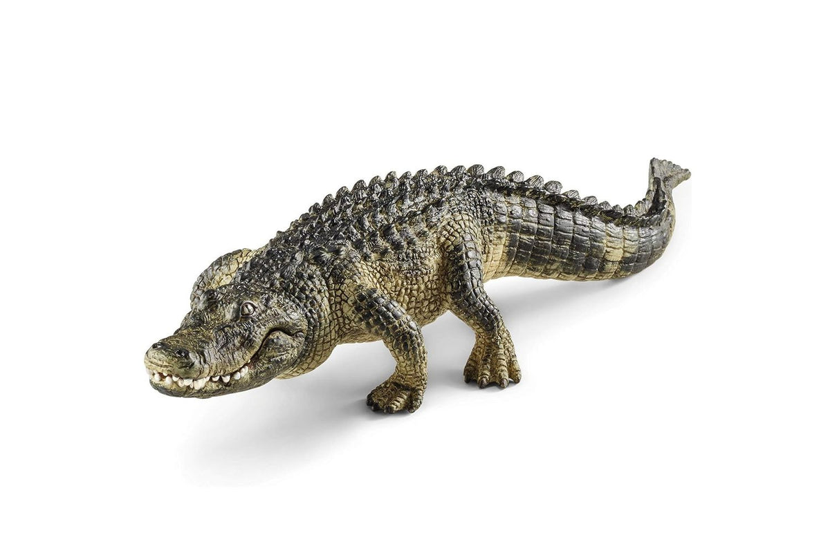 Schleich Wildlife Alligator | Toy Figure