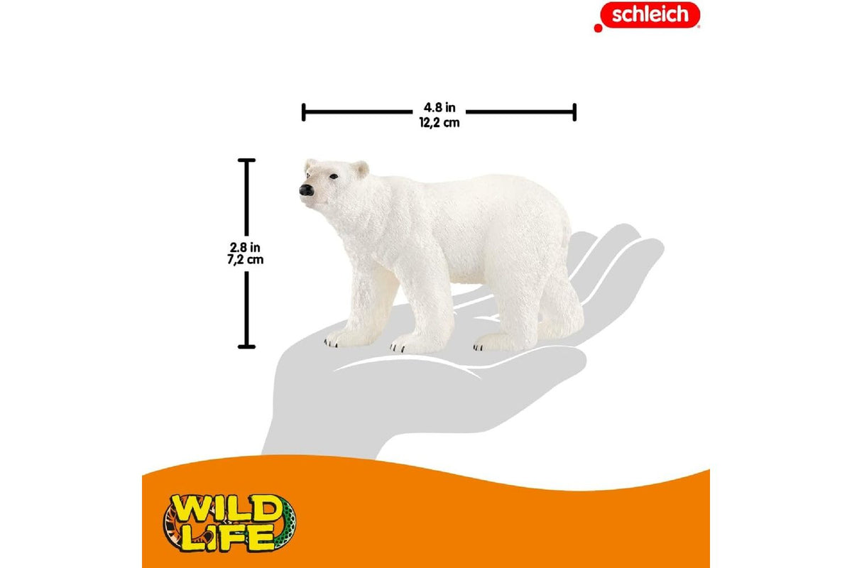 Schleich Wildlife Polar Bear 14800 | Toy Figure-3