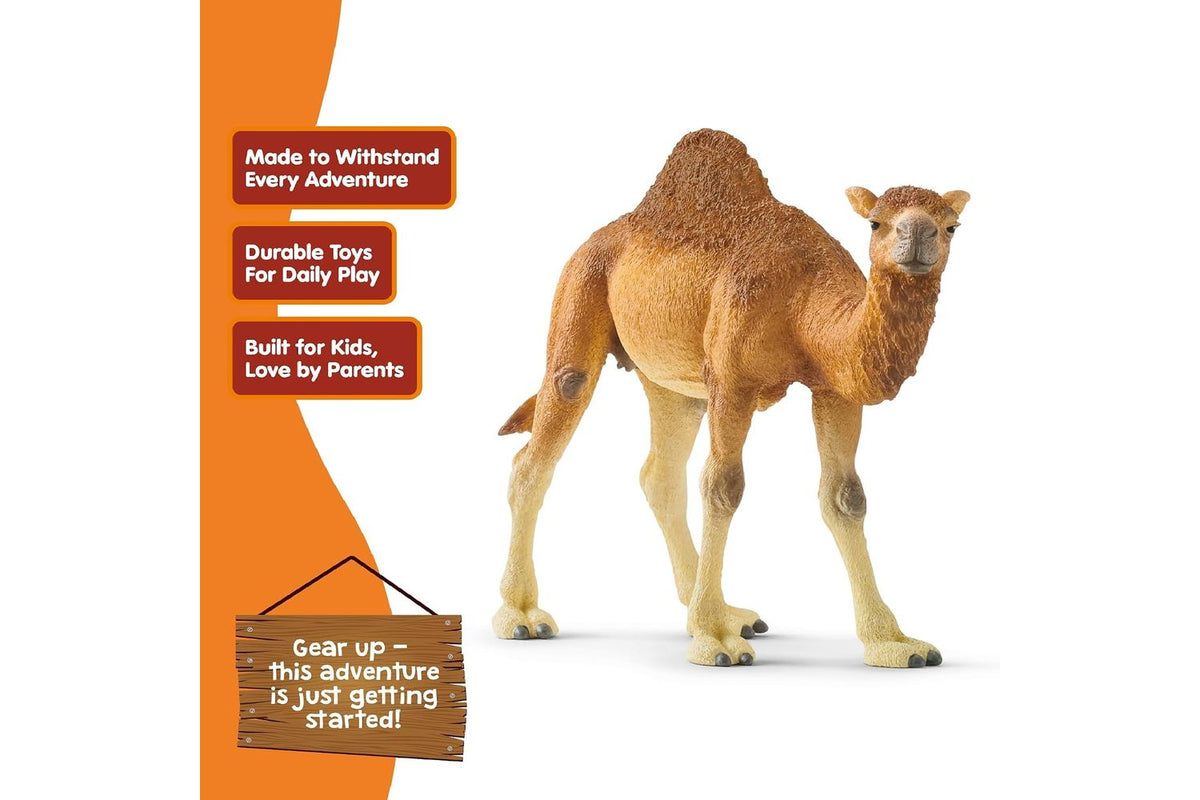 Schleich Wildlife Dromedary 14832 | Animal Figure-4