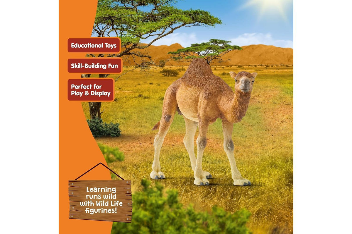Schleich Wildlife Dromedary 14832 | Animal Figure-5