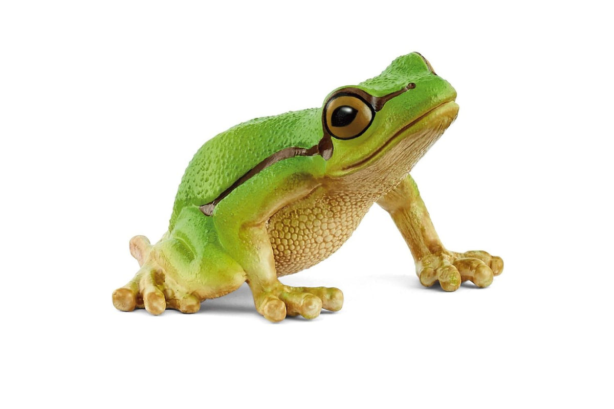 Schleich European Tree Frog Figurine | Toy Figure