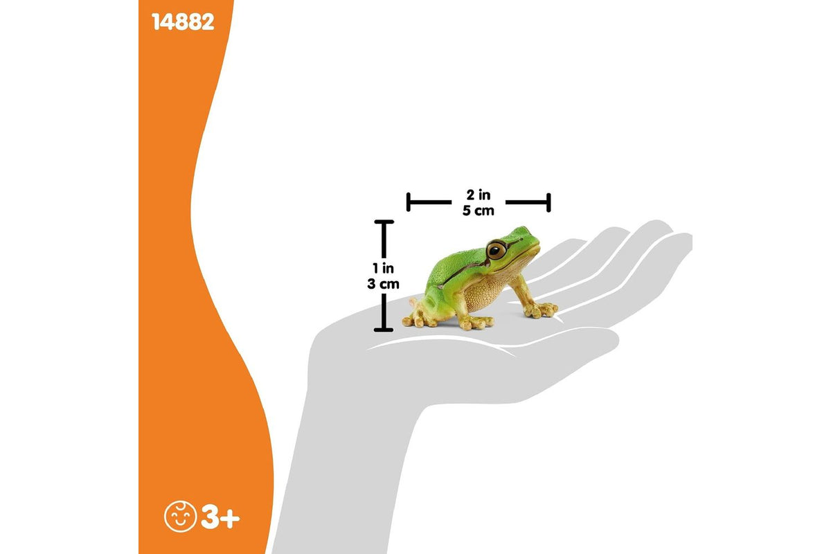 Schleich European Tree Frog Figurine | Toy Figure-3