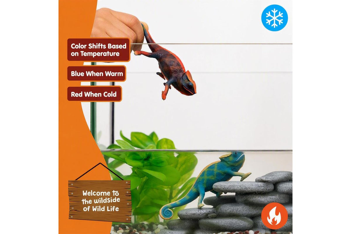 Schleich Wildlife Chameleon 14858 | Animal Figure-5