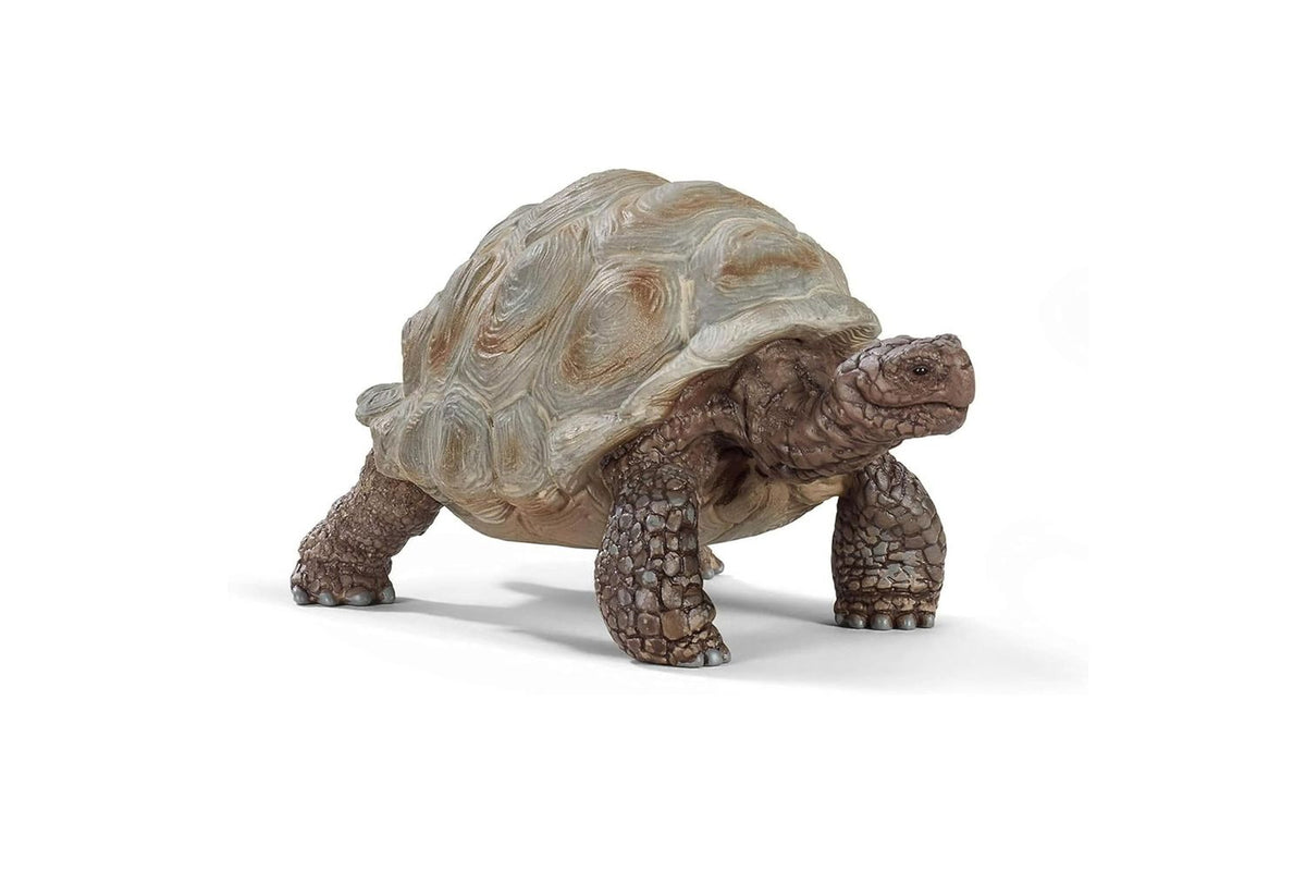 Schleich Wildlife Giant Tortoise | Toy Figure