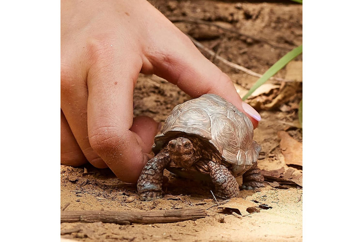 Schleich Wildlife Giant Tortoise | Toy Figure-2